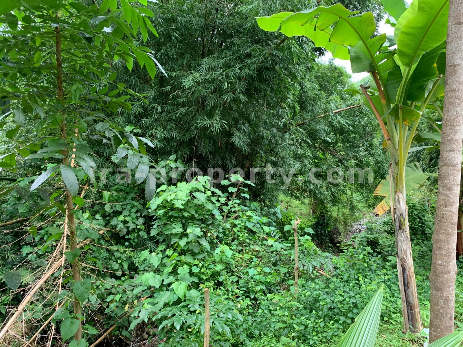Tanah Dijual di Malimbu Dekat Senggigi, Lombok Barat - 372-2 - 5