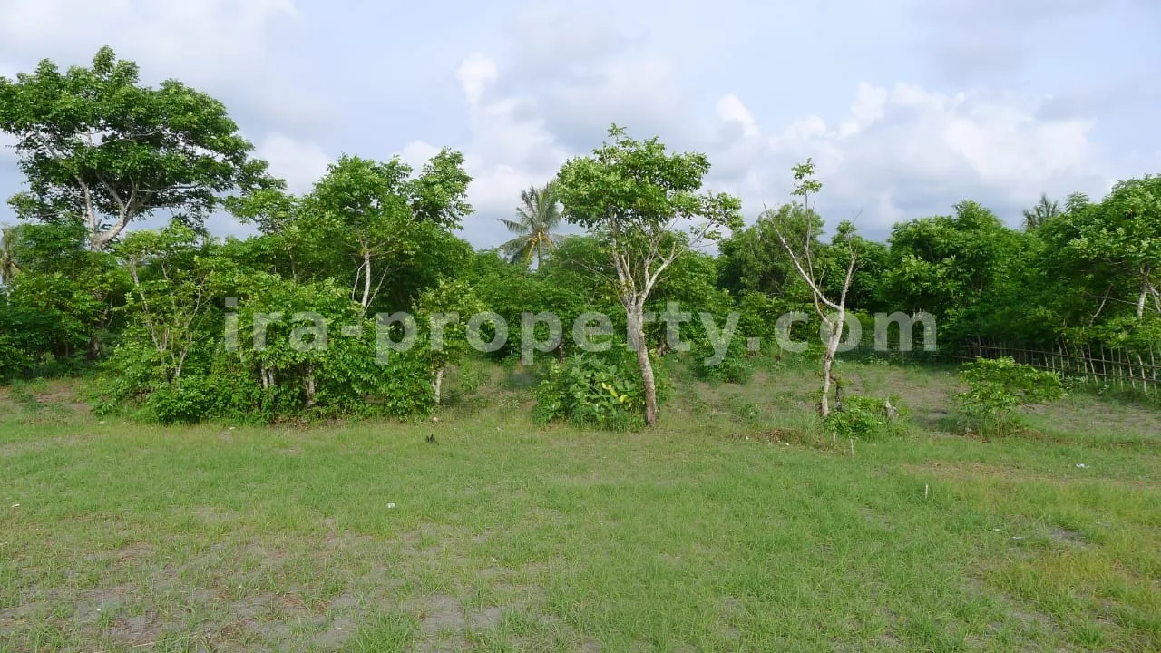 Tanah Pantai Depan Dijual di Cemare Beach, West Lombok - 401 - 2