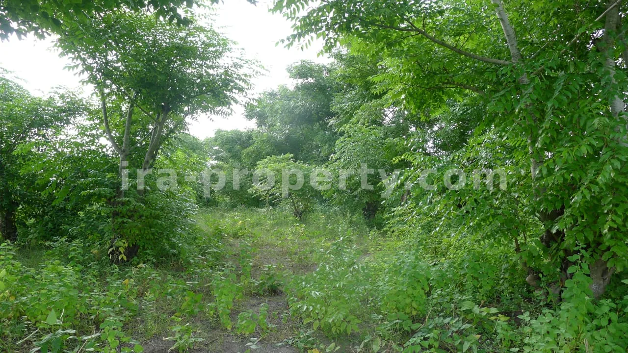 Tanah Pantai Depan Dijual di Cemare Beach, West Lombok - 401 - 3
