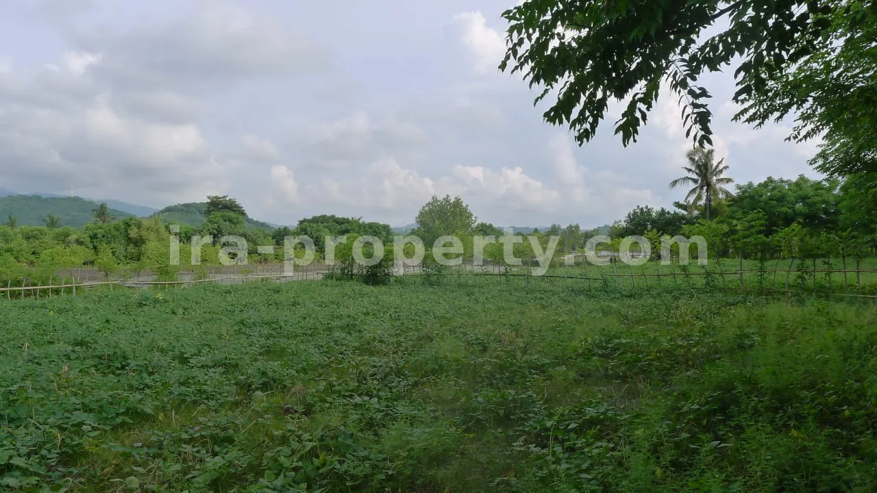 Tanah Pantai Depan Dijual di Cemare Beach, West Lombok - 401 - 5