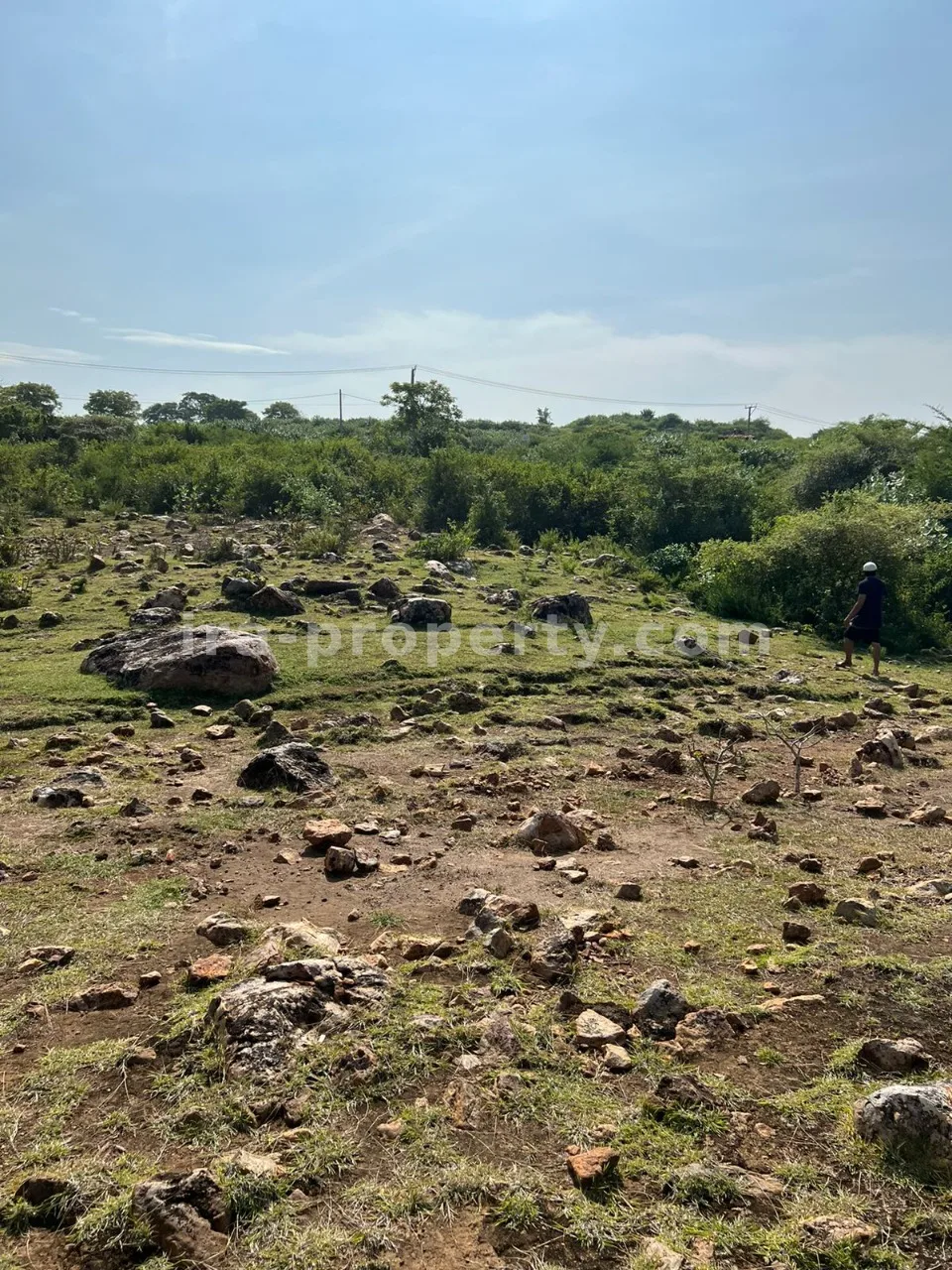 Hill View Land for Sale in Bumbang, Kuta Mandalika - 299 - 3