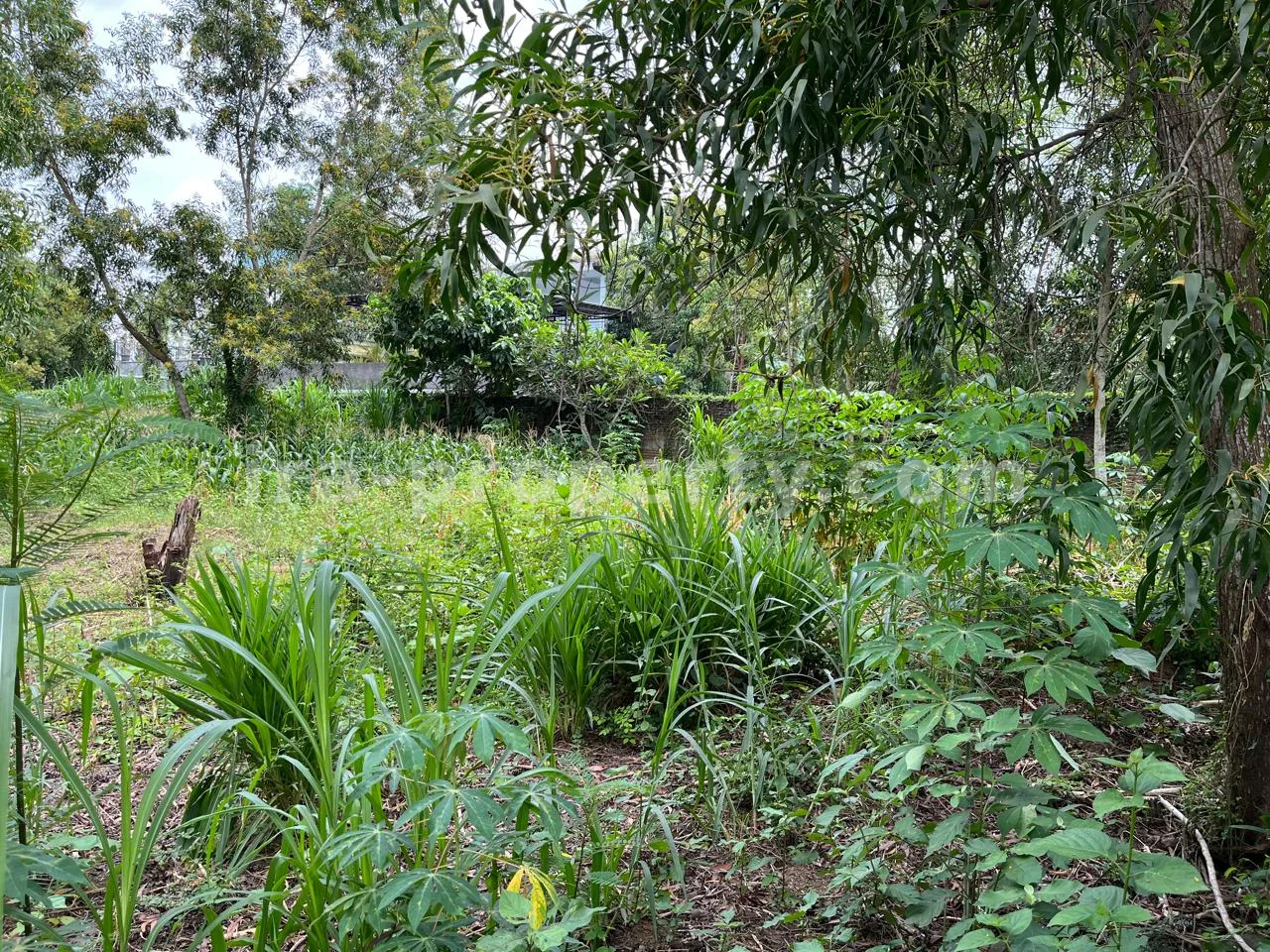 Land Plot for Sale in Central Kuta Mandalika - 494-2 - 2