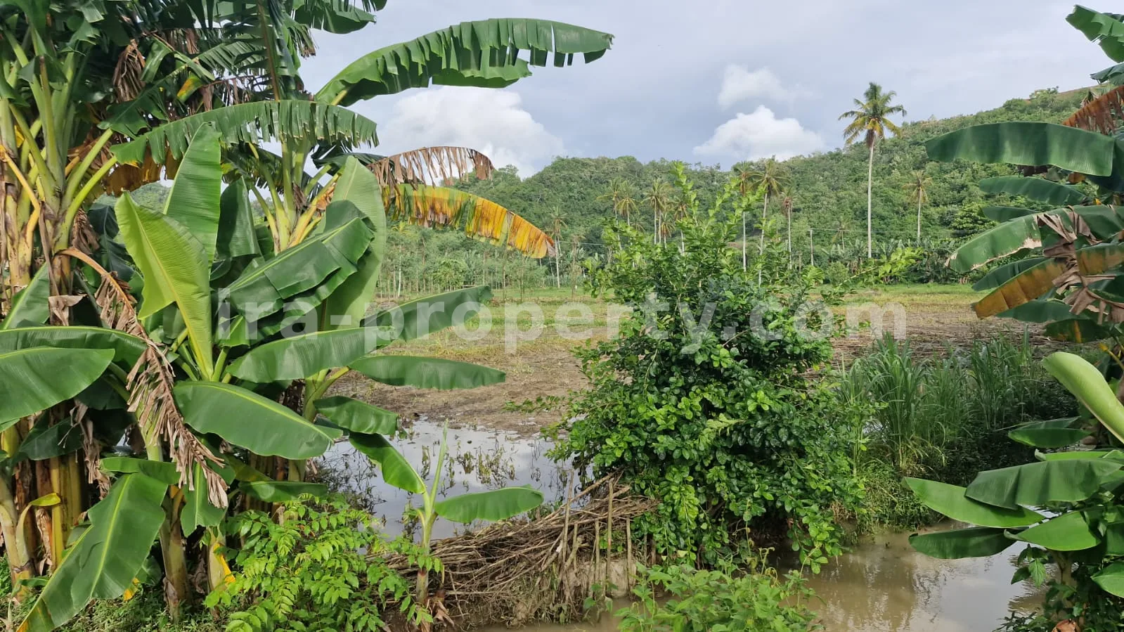 Land Plot for Sale in Selong Belanak, Central Lombok - 495-2 - 1