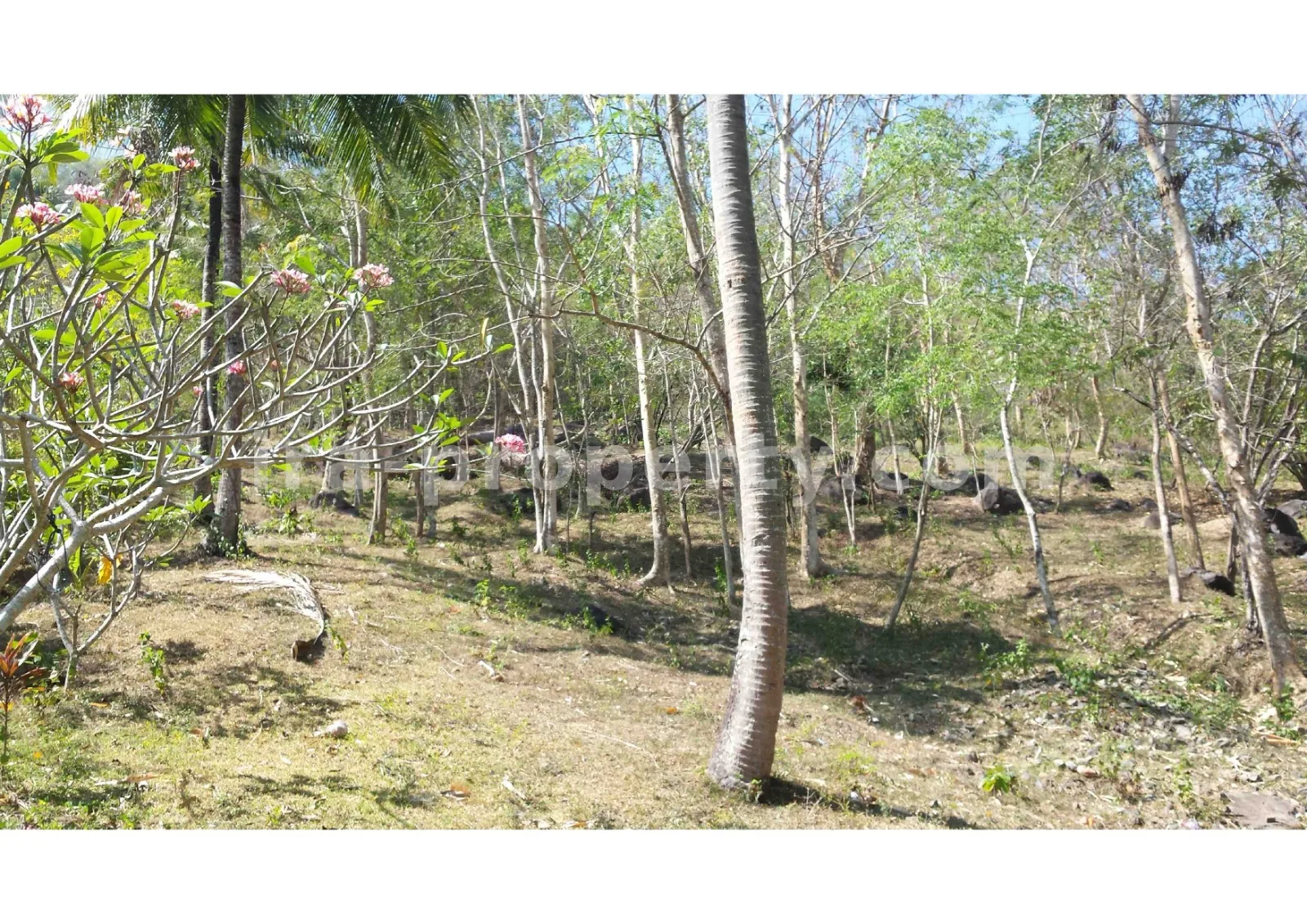 Tanah Pemandangan Pantai untuk Dijual di Kerandangan, Lombok Barat - 377 - 2