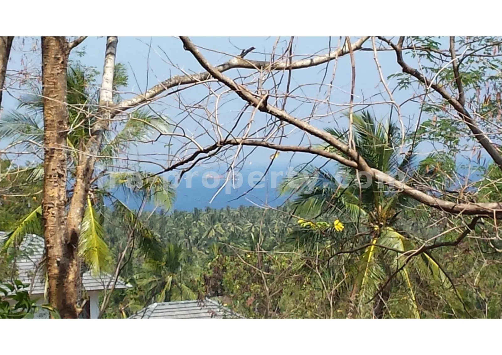 Tanah Pemandangan Pantai untuk Dijual di Kerandangan, Lombok Barat - 377 - 3