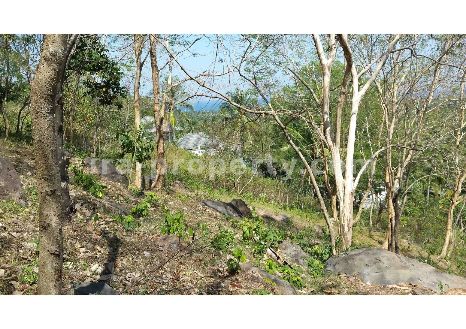 Tanah Pemandangan Pantai untuk Dijual di Kerandangan, Lombok Barat - 377 - 4