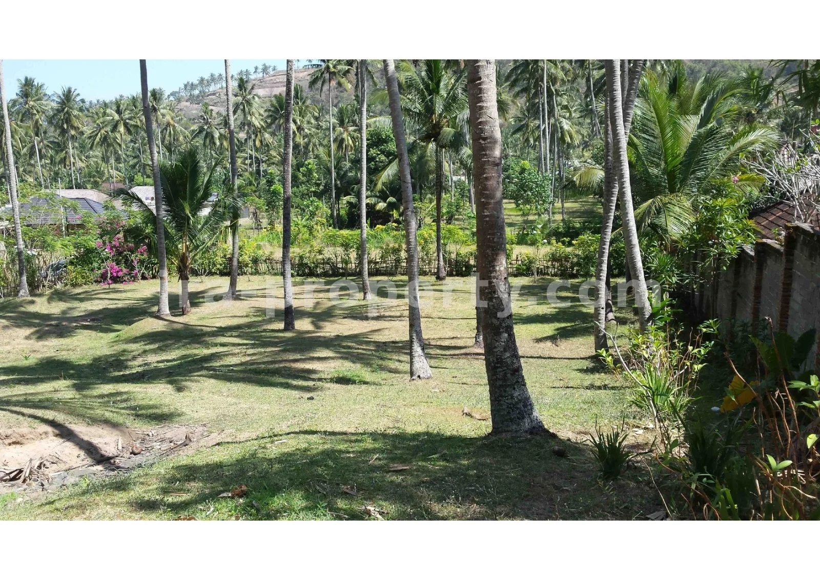 Tanah Pemandangan Pantai untuk Dijual di Kerandangan, Lombok Barat - 377 - 5