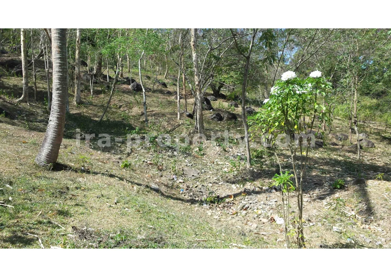 Tanah Pemandangan Pantai untuk Dijual di Kerandangan, Lombok Barat - 377 - 6