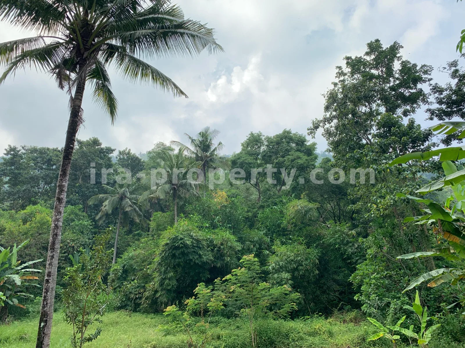 Tanah Pemandangan Pantai untuk Dijual di Kerandangan, Lombok Barat - 377 - 7