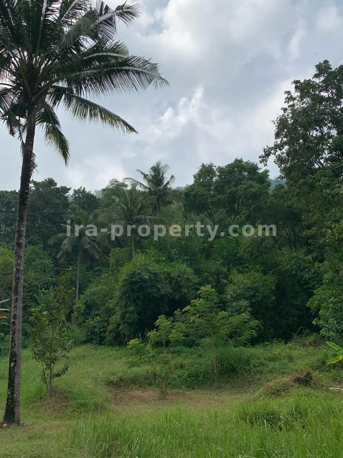 Tanah Pemandangan Pantai untuk Dijual di Kerandangan, Lombok Barat - 377 - 9