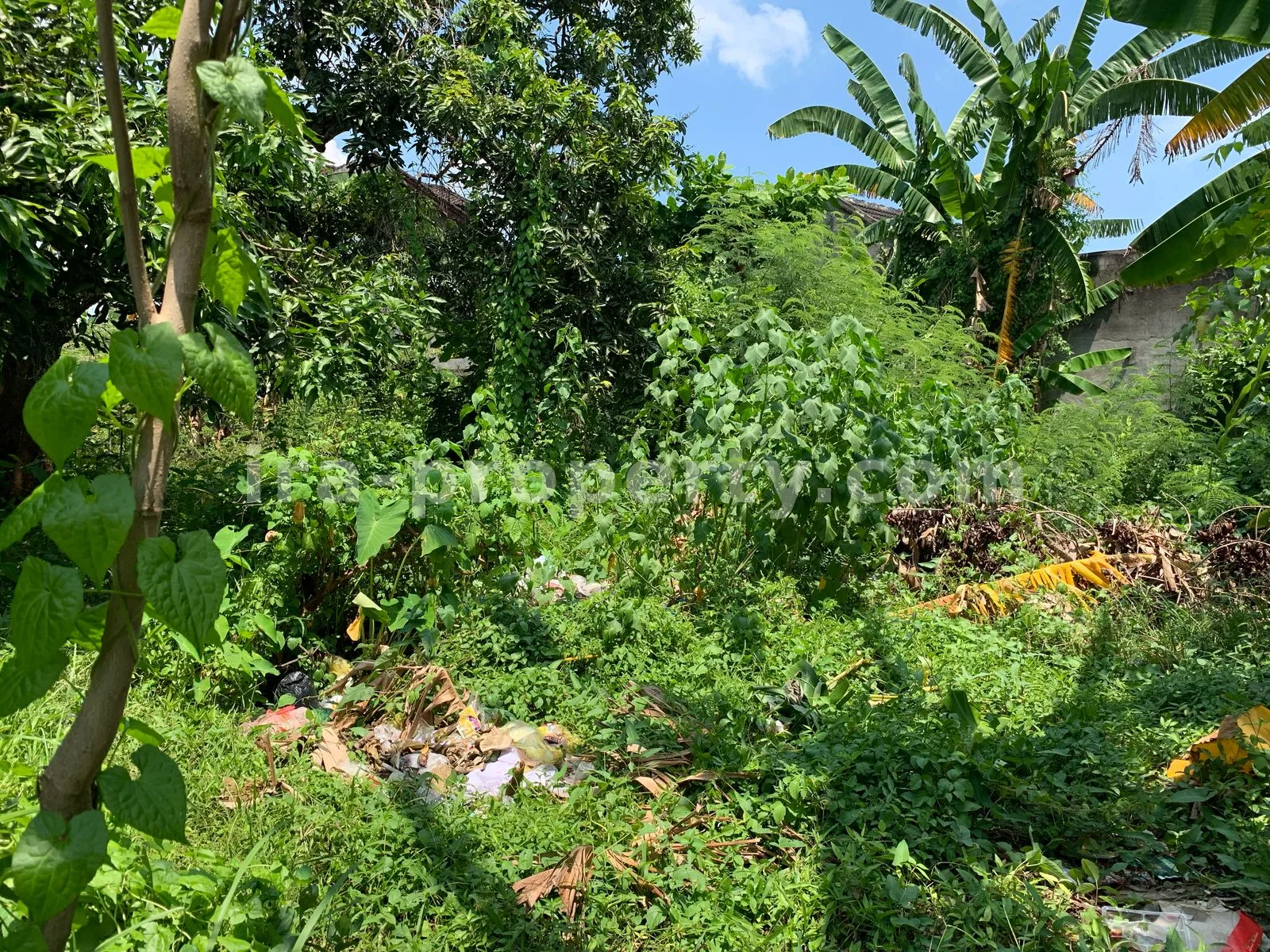 Land for Sale in Tinggar, Ampenan, Mataram - 499 - 2