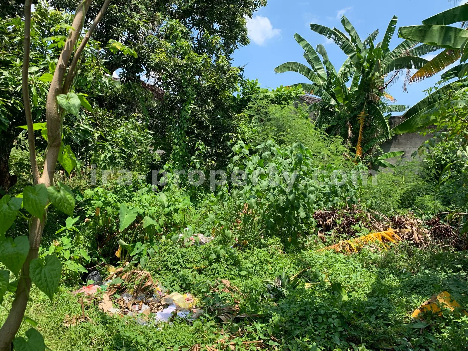 Land for Sale in Tinggar, Ampenan, Mataram - 499 - 3