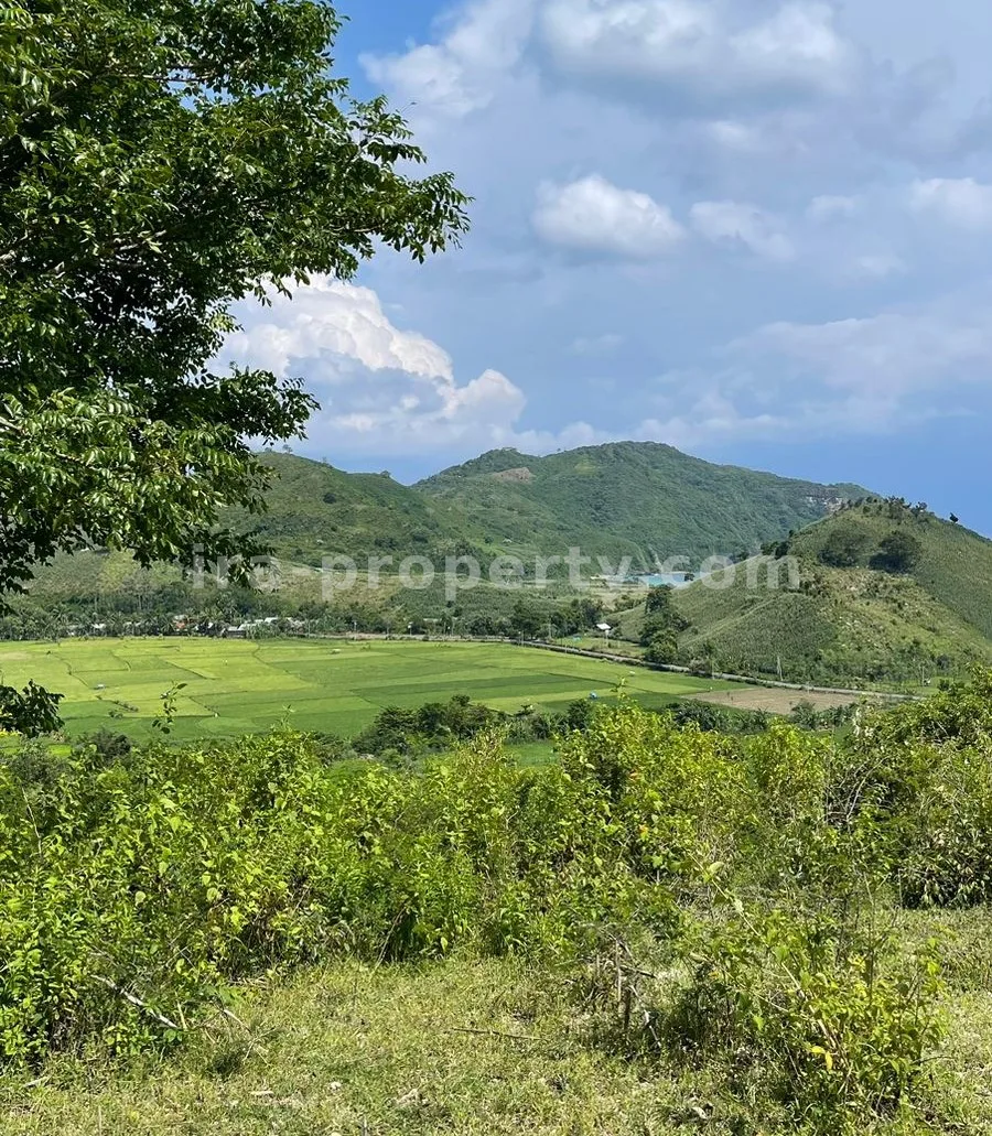 Tanah Dijual dengan Pemandangan Laut di Mawun, Kuta Mandalika - 430-3 - 4