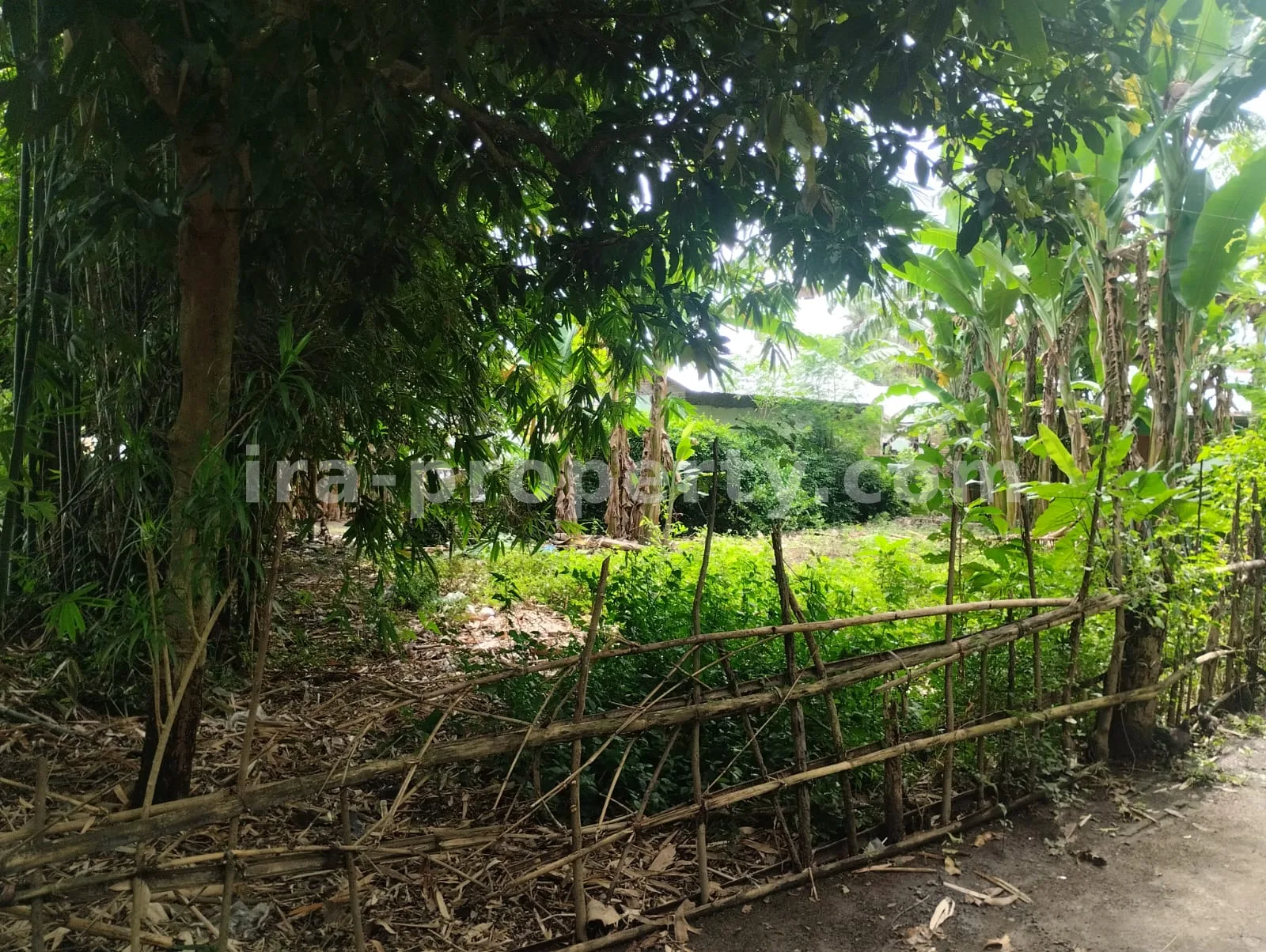Land for Sale in West Lombok - 381 - 2