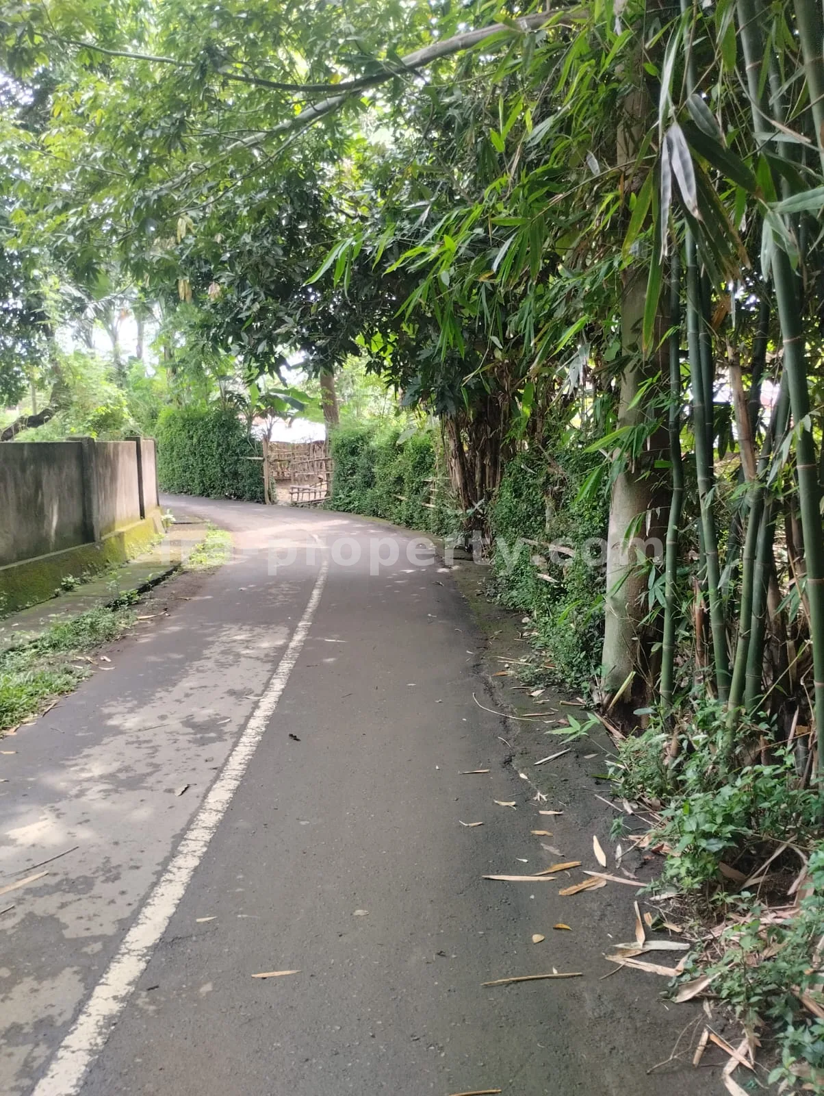 Land for Sale in West Lombok - 381 - 4