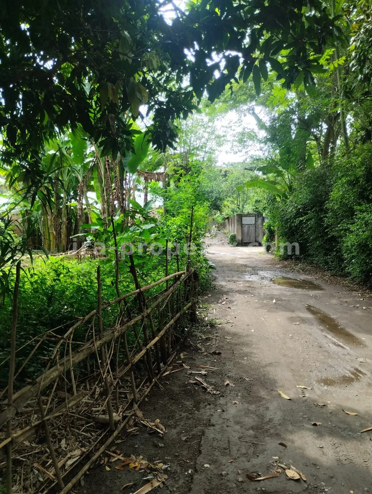 Land for Sale in West Lombok - 381 - 5