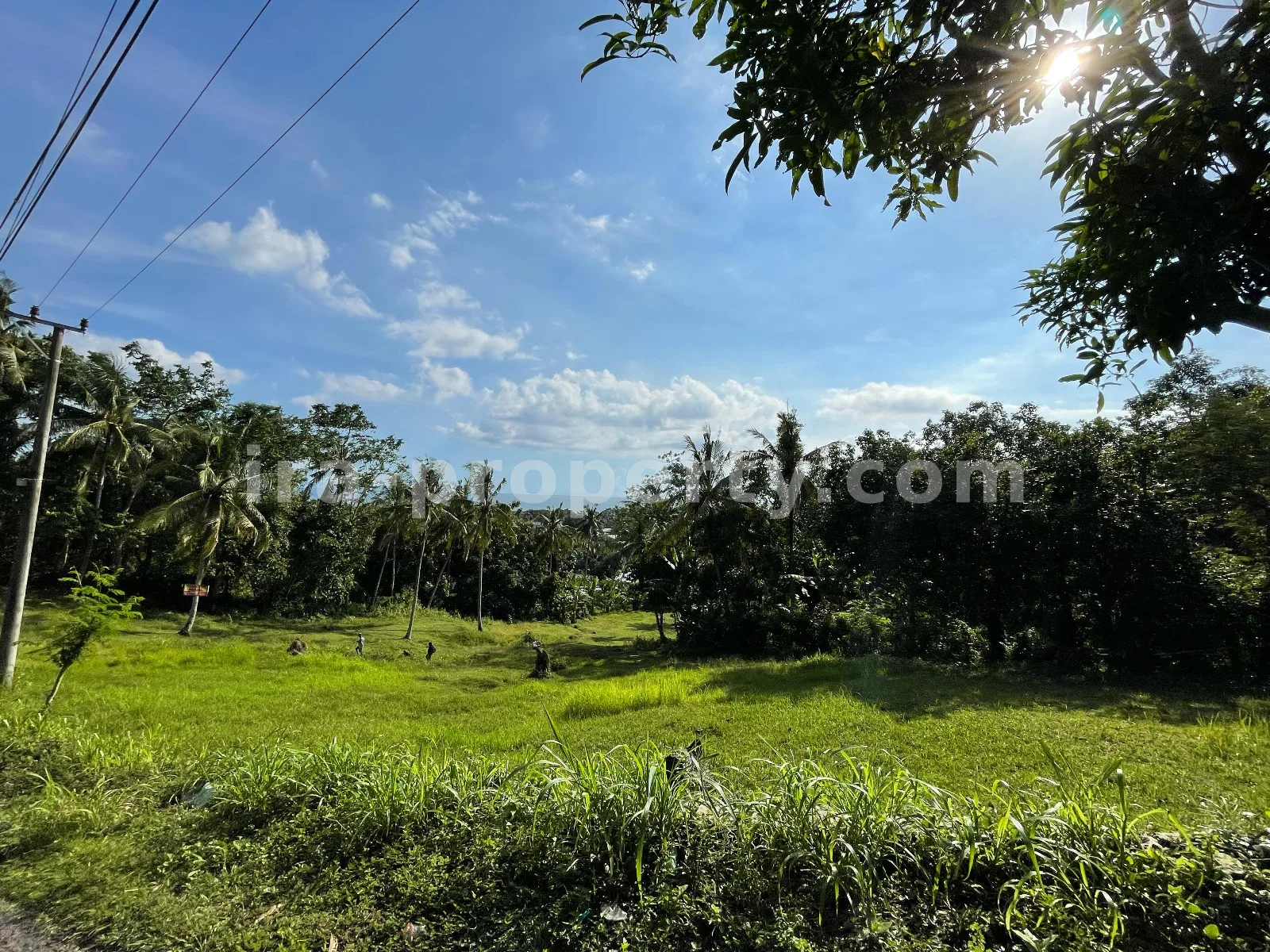 Tanah Tepi Laut di Melase, Batu Layar, Lombok Barat - 379 - 11