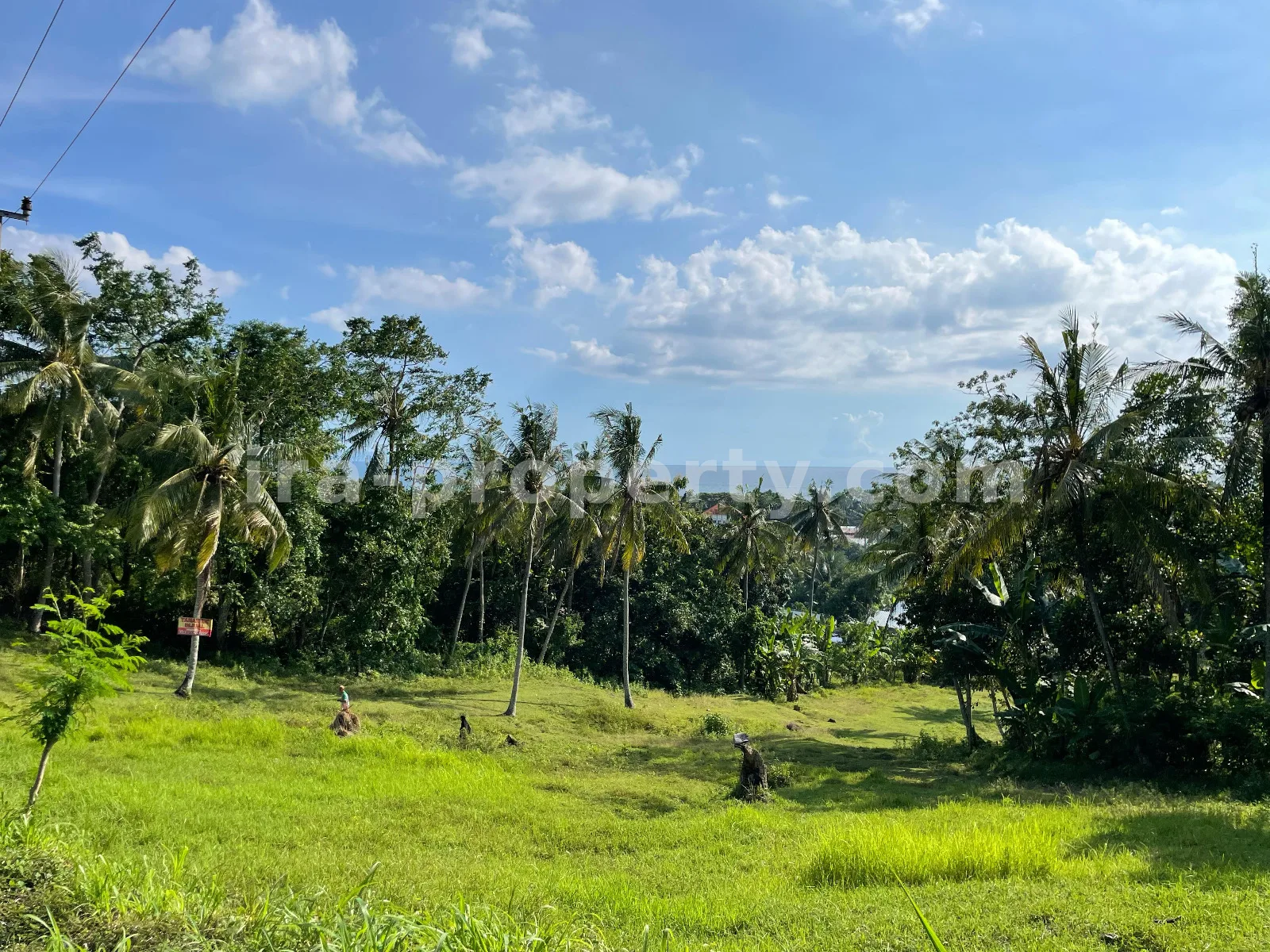 Tanah Tepi Laut di Melase, Batu Layar, Lombok Barat - 379 - 4