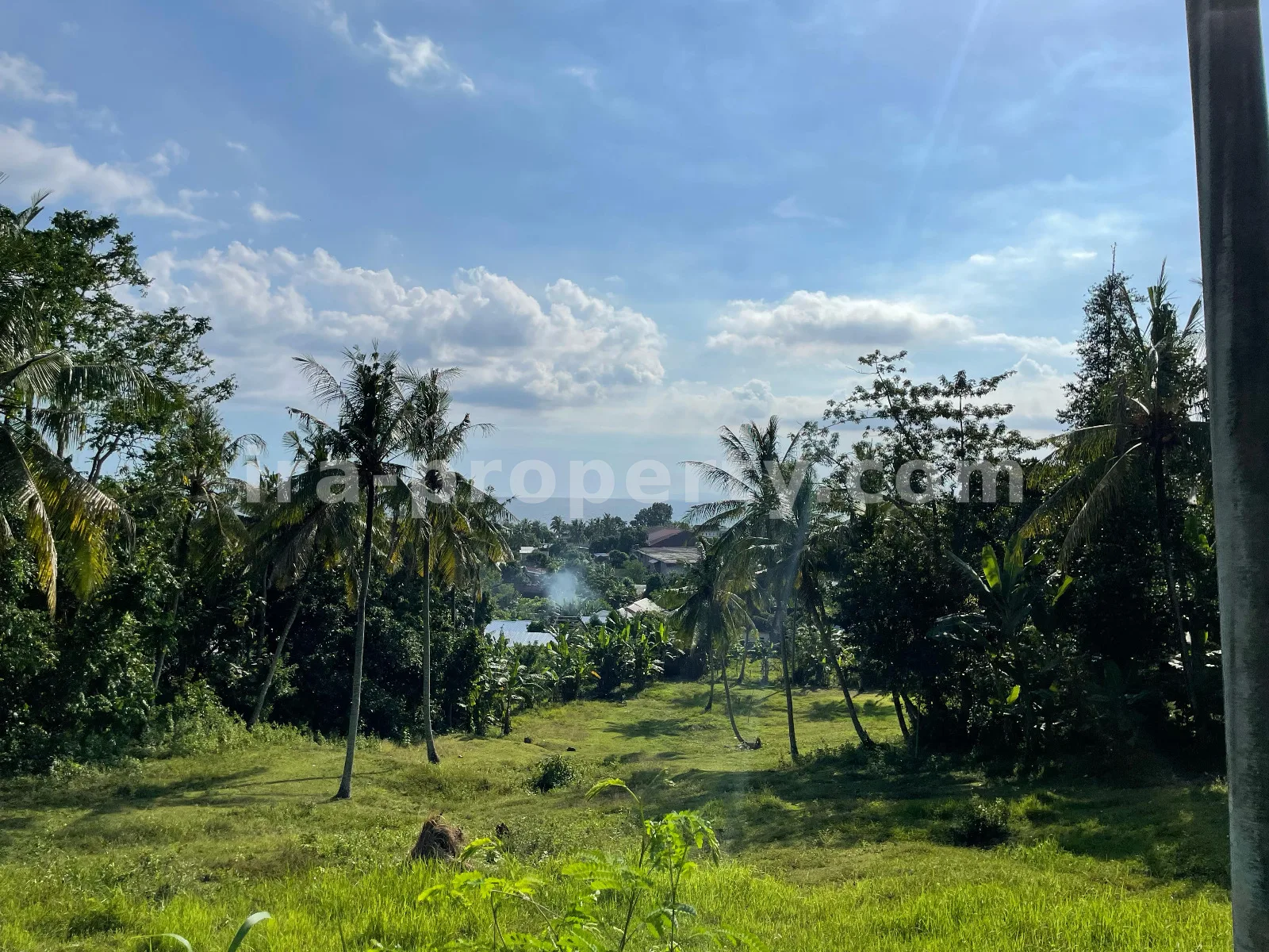 Tanah Tepi Laut di Melase, Batu Layar, Lombok Barat - 379 - 7