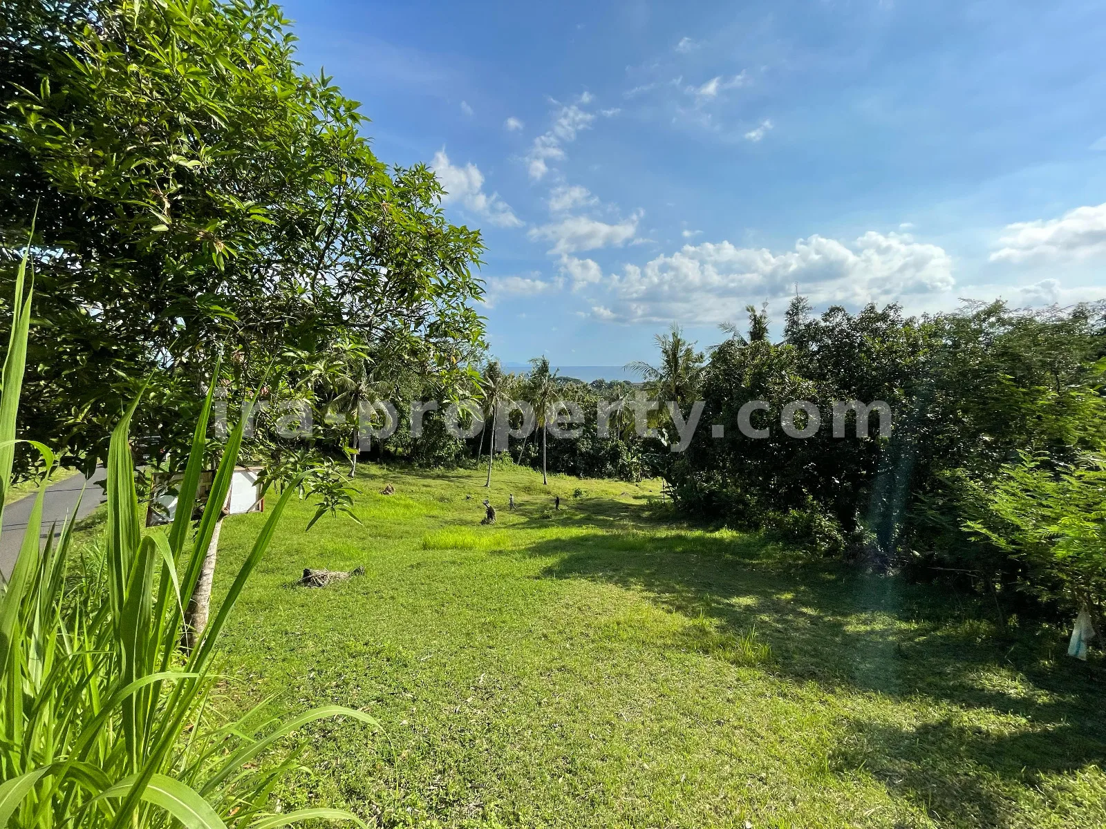 Tanah Tepi Laut di Melase, Batu Layar, Lombok Barat - 379 - 9