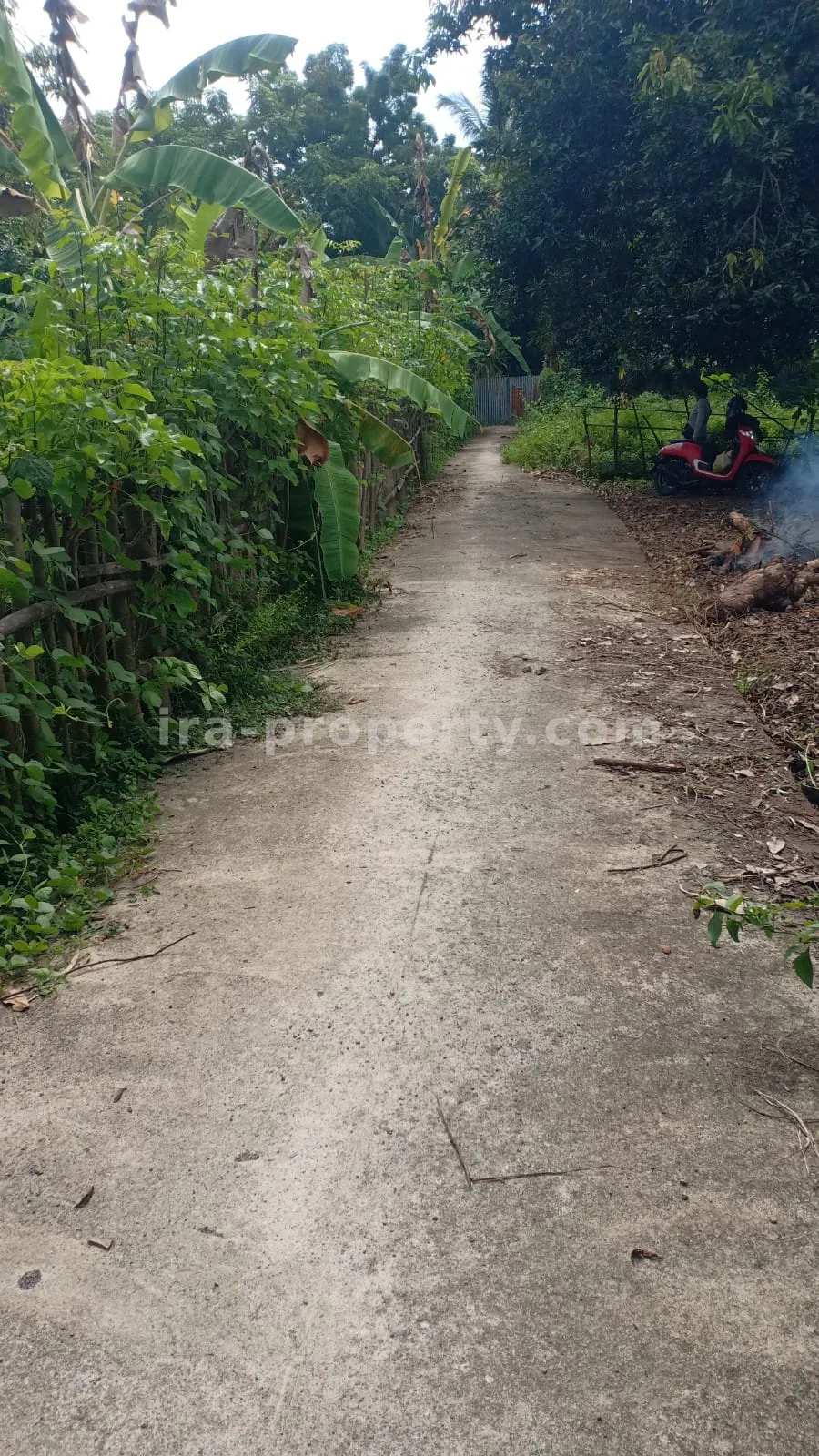 Strategic Land Plot for Sale near North Lombok Police Station - 378 - 4