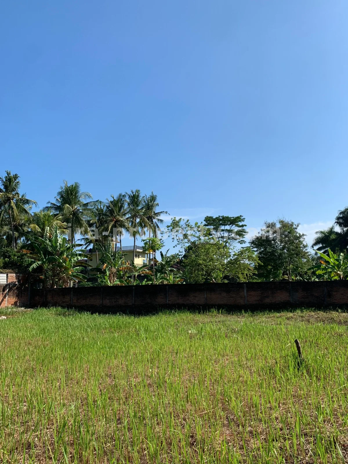 Tanah Dijual Dekat Hotel Jayakarta, Lombok Barat - 382 - 1