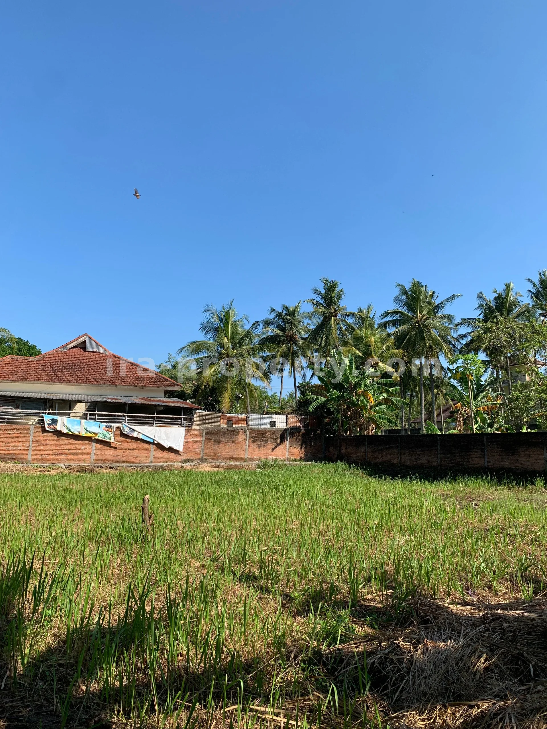 Tanah Dijual Dekat Hotel Jayakarta, Lombok Barat - 382 - 2