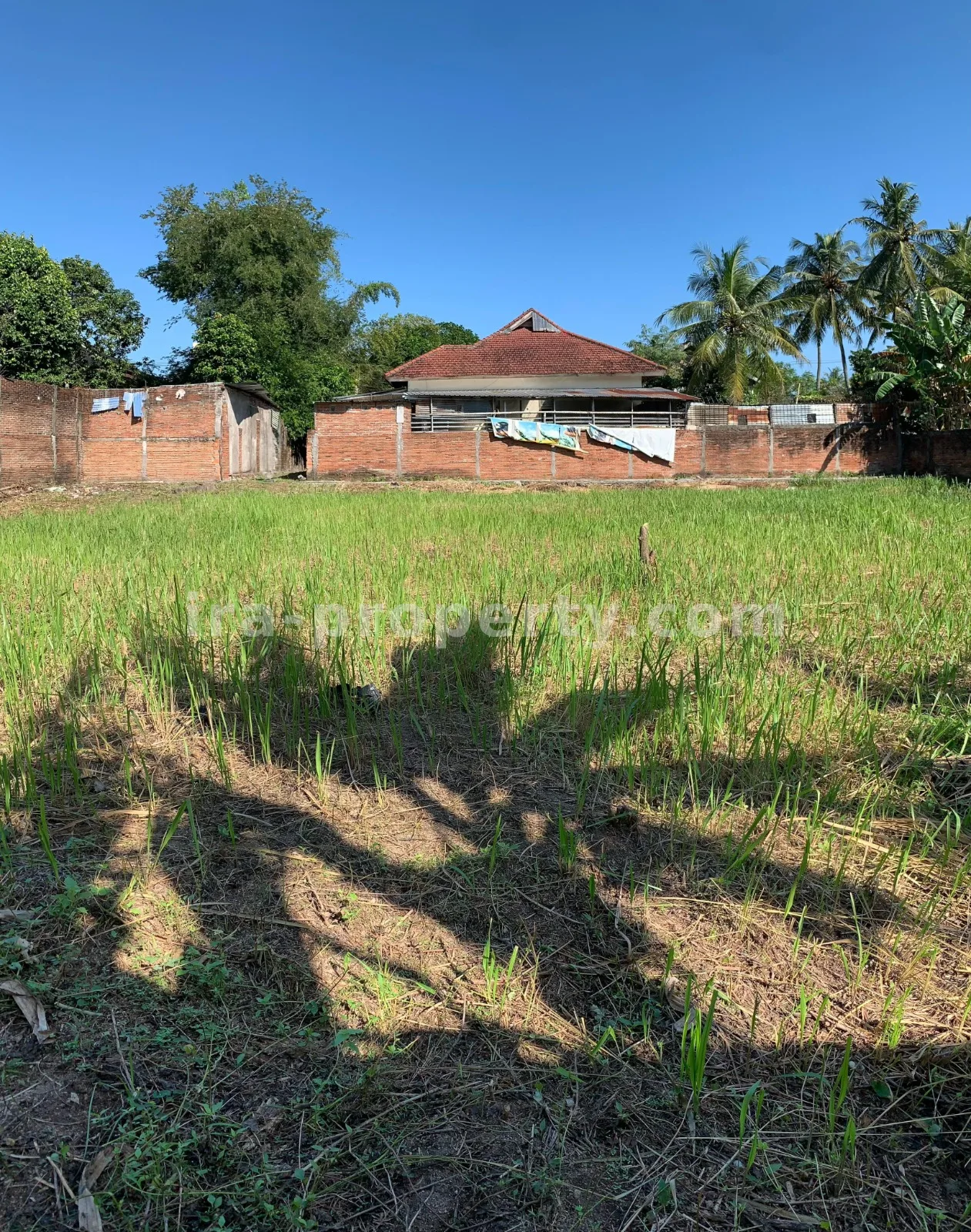 Tanah Dijual Dekat Hotel Jayakarta, Lombok Barat - 382 - 4