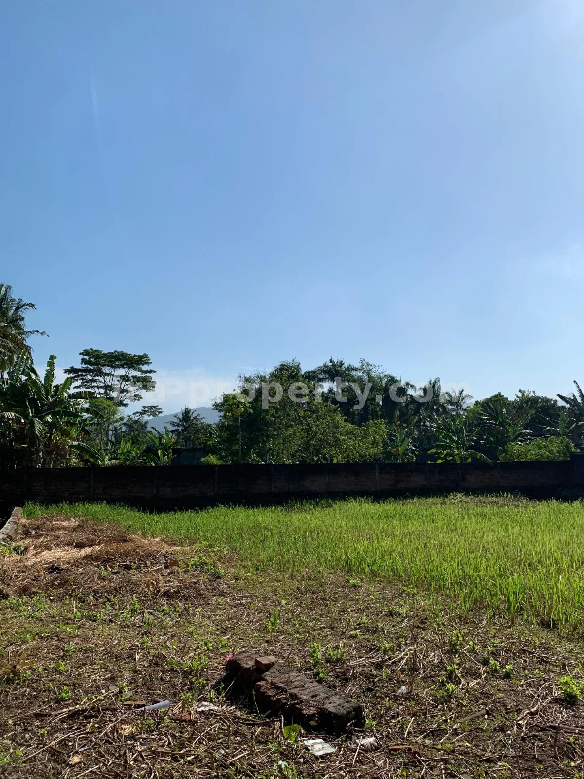 Tanah Dijual Dekat Hotel Jayakarta, Lombok Barat - 382 - 5