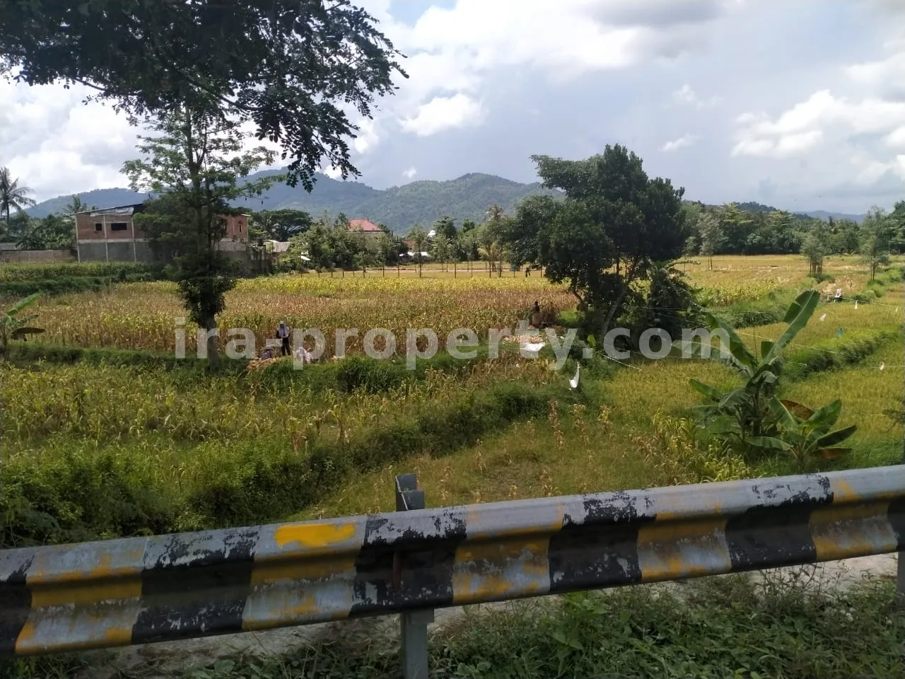 Tanah Pinggir Jalan Raya Kuripan, Lombok Barat - 405-2 - 3