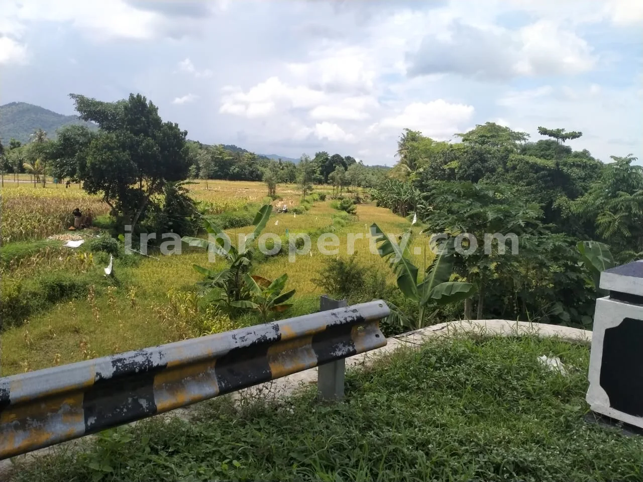 Tanah Pinggir Jalan Raya Kuripan, Lombok Barat - 405-2 - 4