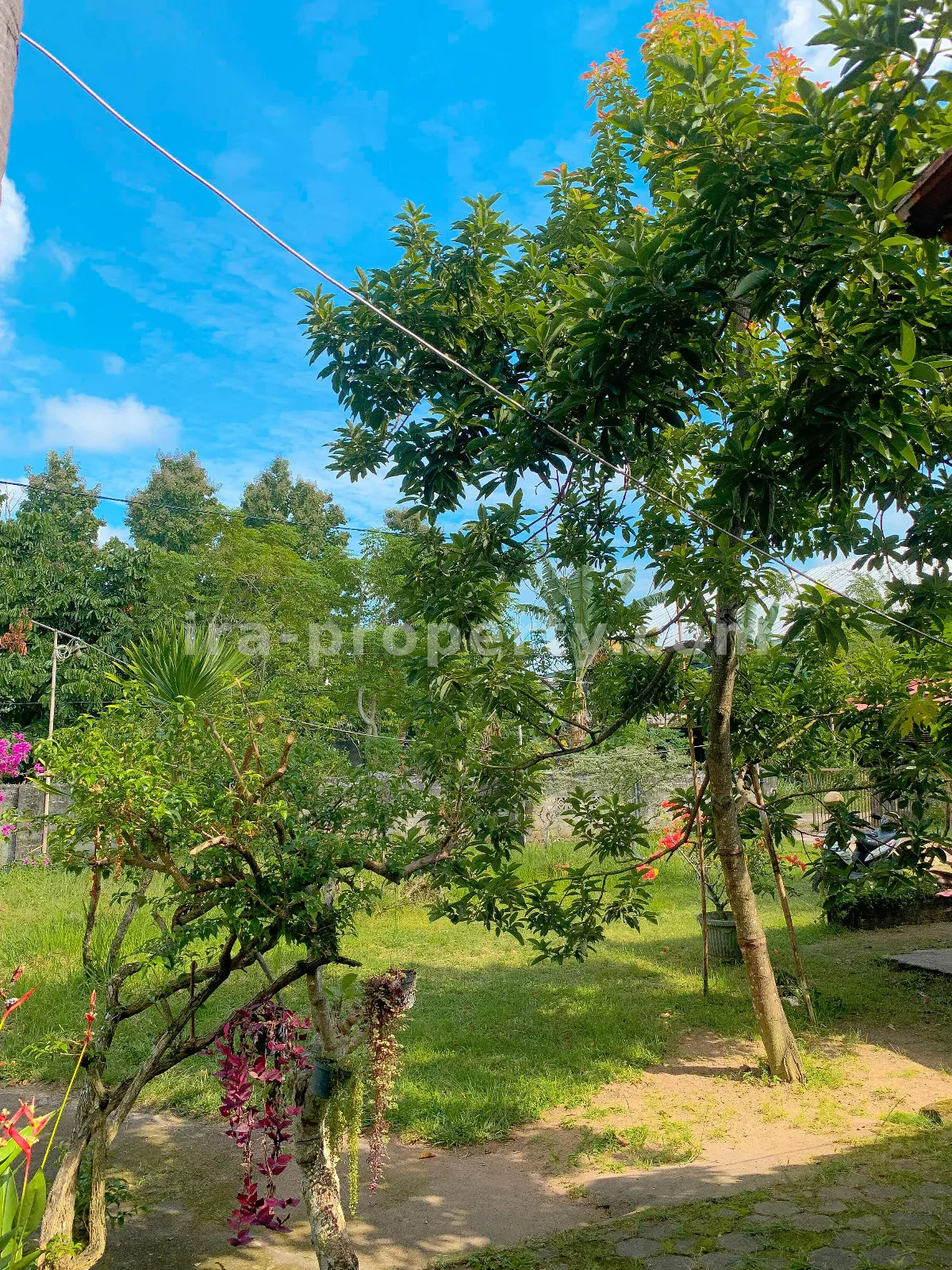 Spacious Home for Sale in Sandik, West Lombok - 706 - 4