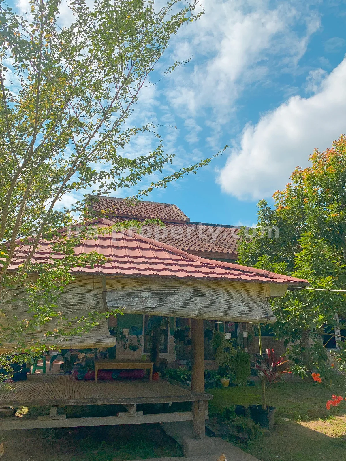 Spacious Home for Sale in Sandik, West Lombok - 706 - 6
