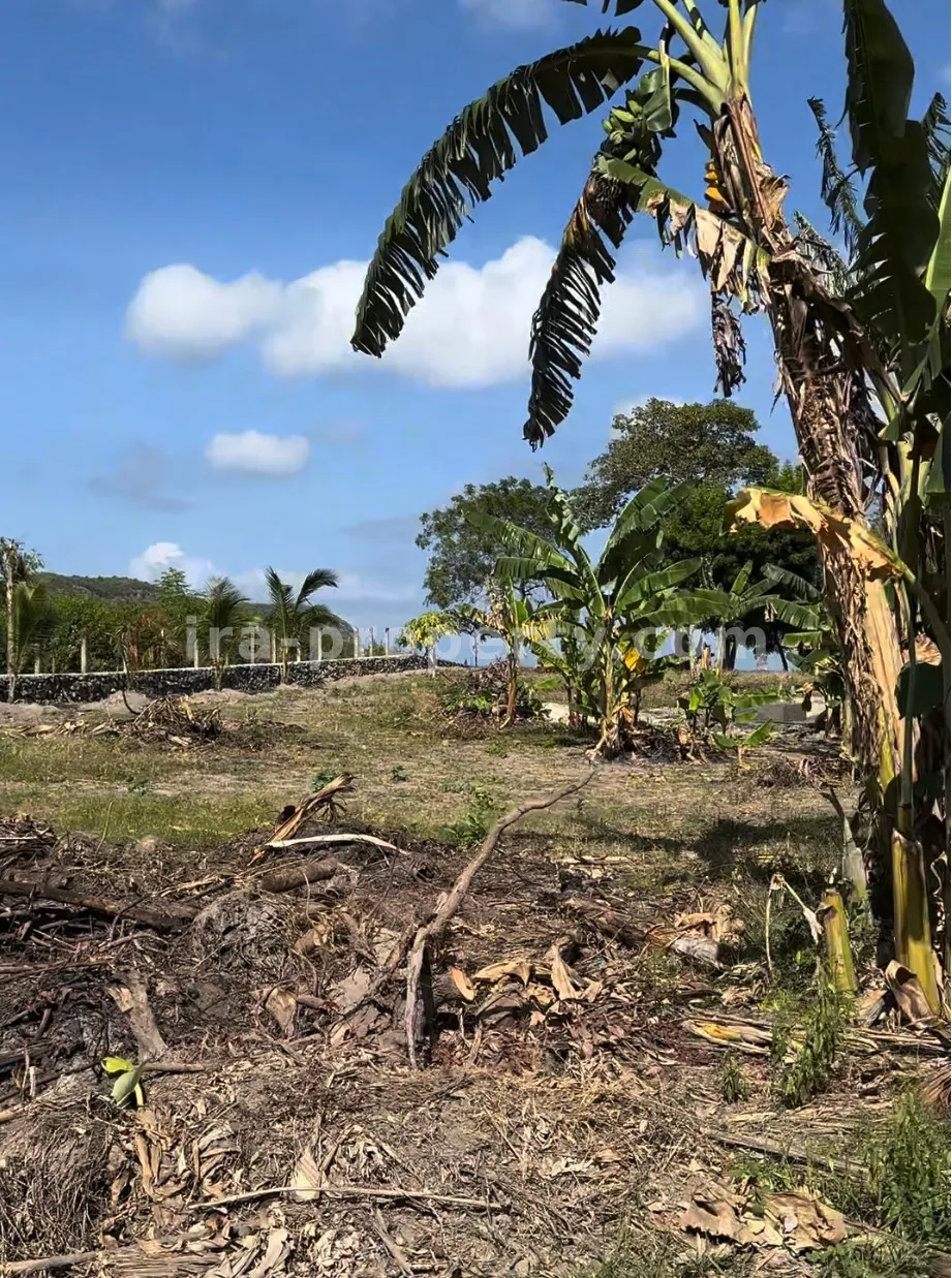 Beachfront Land for Sale in Bumbang – Near Kuta Mandalika - 507 - 4