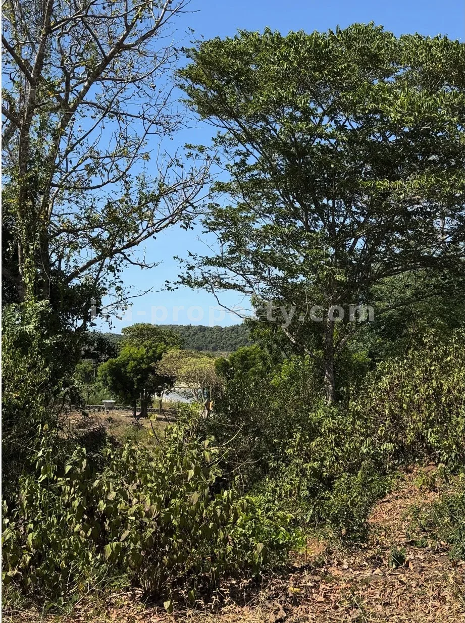 Beachfront Land for Sale in Bumbang – Near Kuta Mandalika - 507 - 5