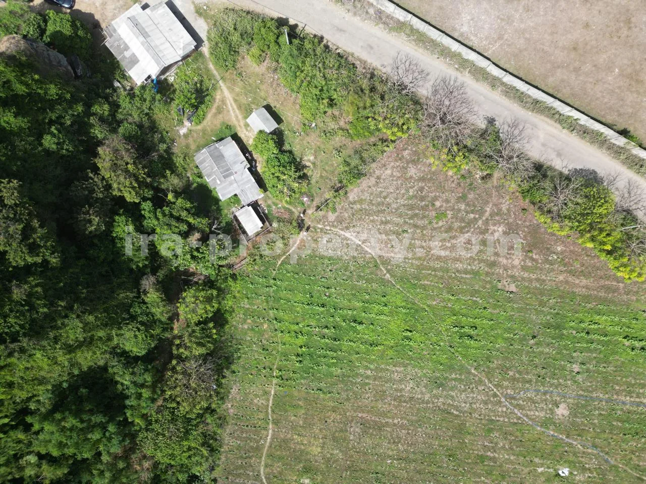 Prime Land for Sale Near Tanjung Aan Beach – Central Kuta Mandalika - 506 - 6