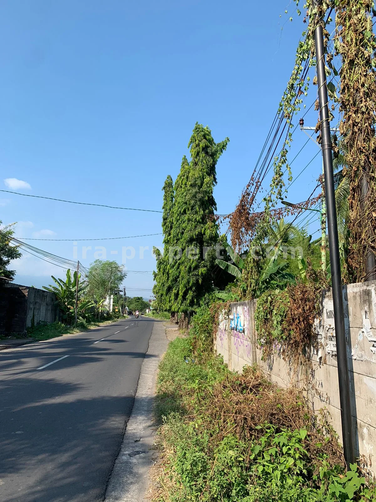 Tanah Strategis di Jalan Wisata, Montong Batu Layar, Lombok Barat - 395 - 4