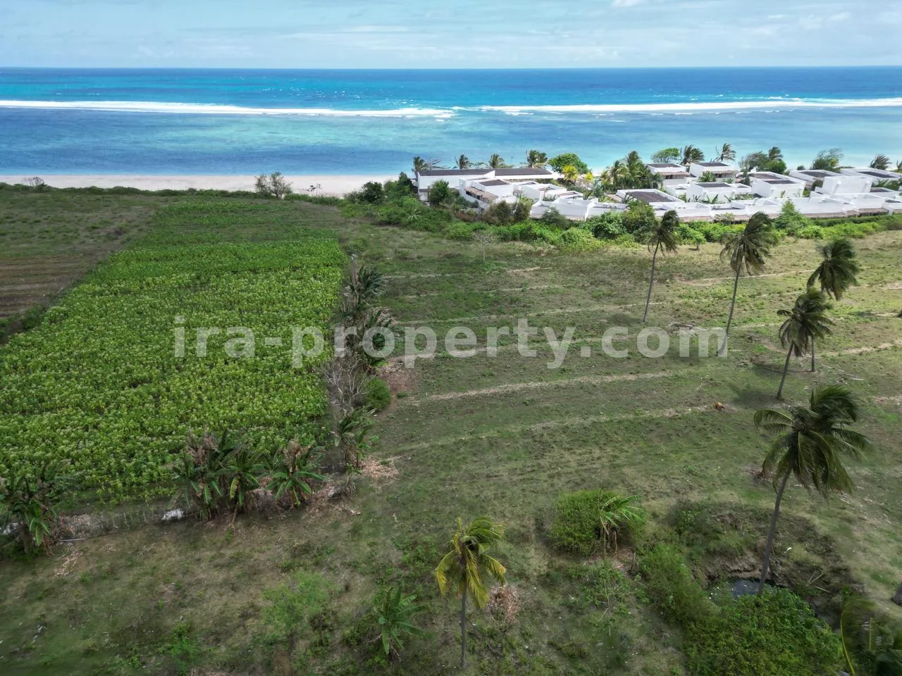 Beachfront Land for Sale in Torok Aik Belek – Near Kuta Mandalika - 512 - 5