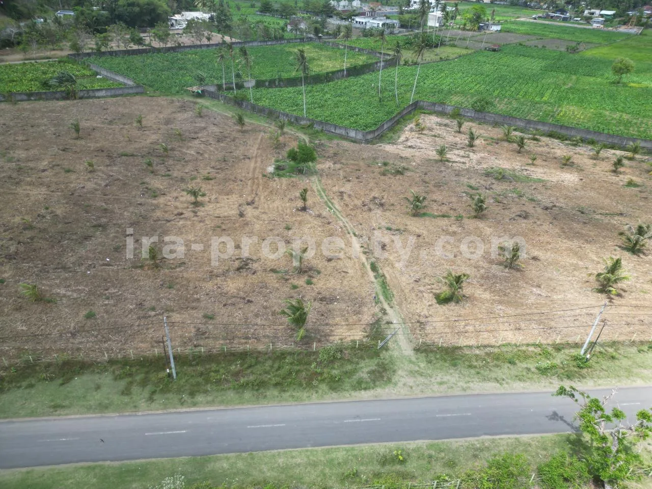 Tanah Strategis di Selong Belanak Dekat Kuta Mandalika - 515-2 - 4
