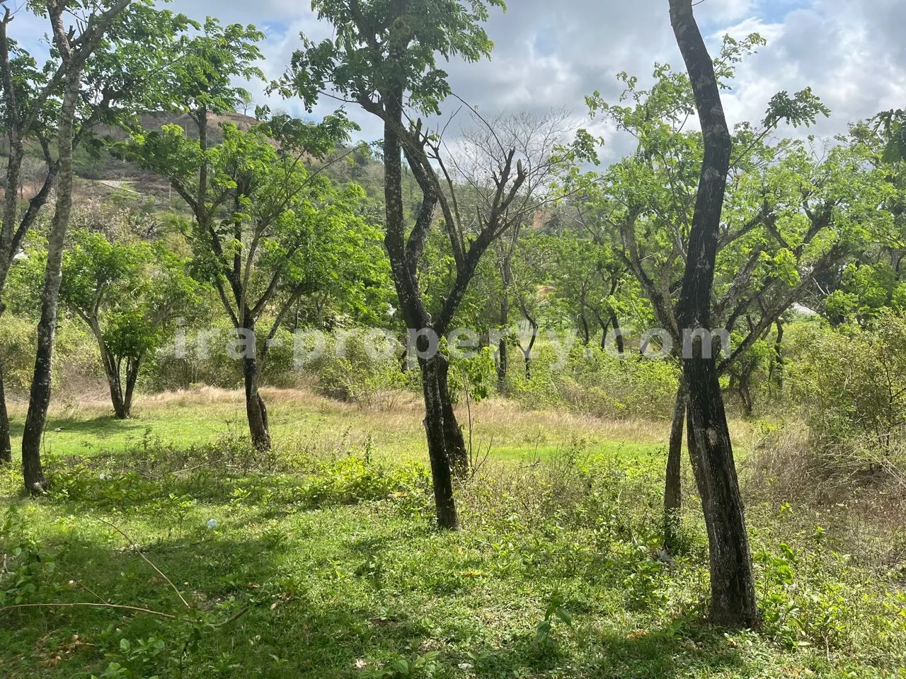 Land for Sale on Areguling Road to Selong Belanak – Near Kuta Mandalika - 519 - 2