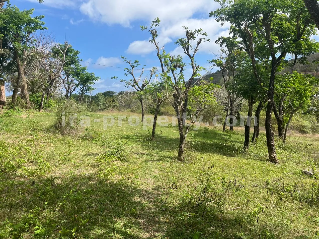 Land for Sale on Areguling Road to Selong Belanak – Near Kuta Mandalika - 519 - 4