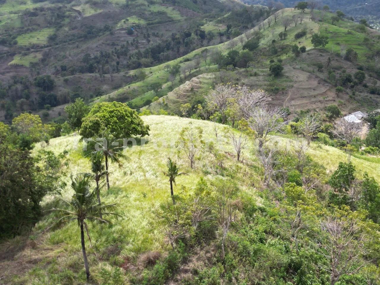 Tanah Pemandangan Laut Dijual di Selong Belanak dekat Kuta Mandalika - 516 - 10