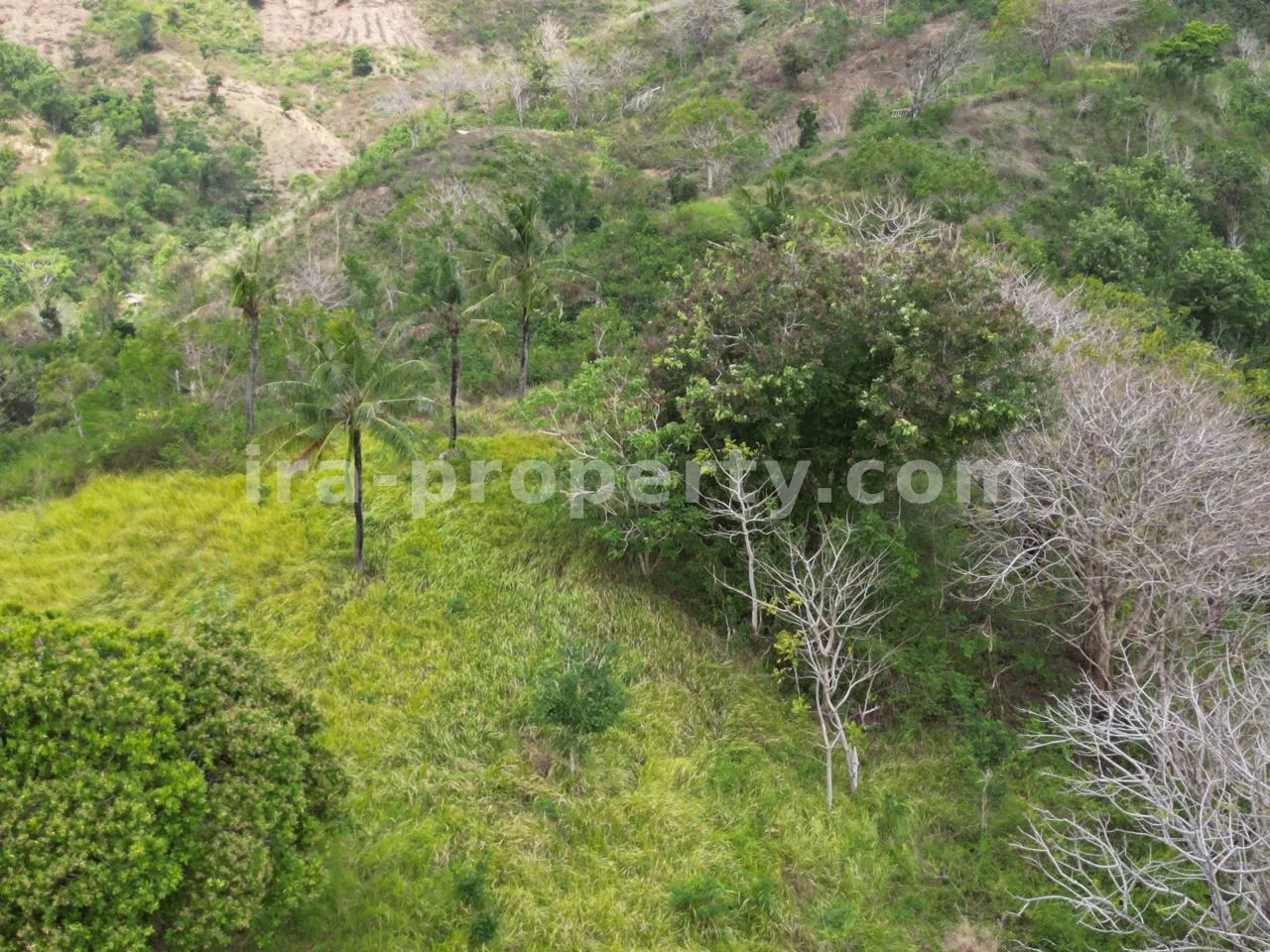 Tanah Pemandangan Laut Dijual di Selong Belanak dekat Kuta Mandalika - 516 - 11