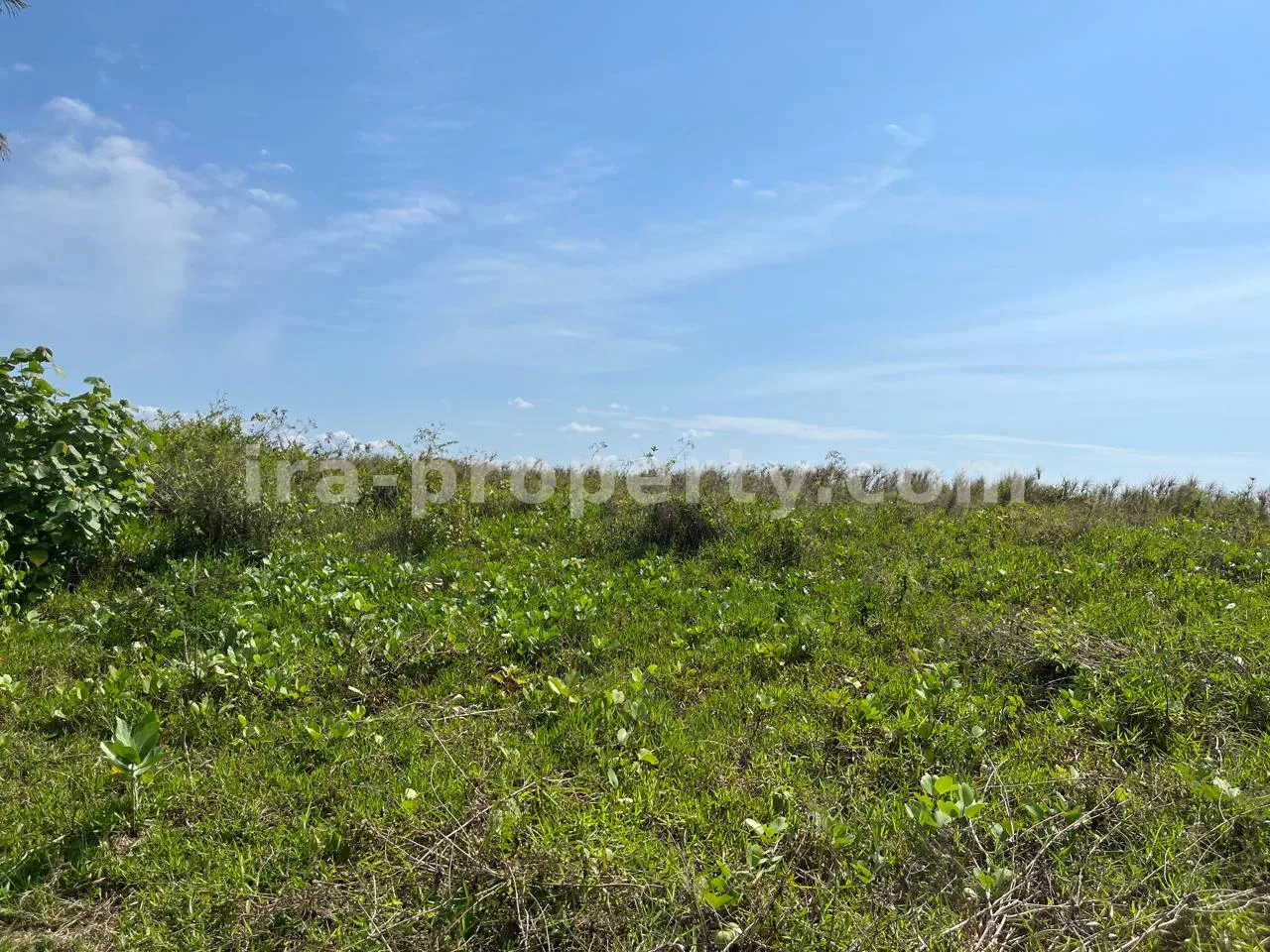 Tanah Pantai Terjangkau untuk Dijual di Kuranji, Lombok Barat - 408 - 5