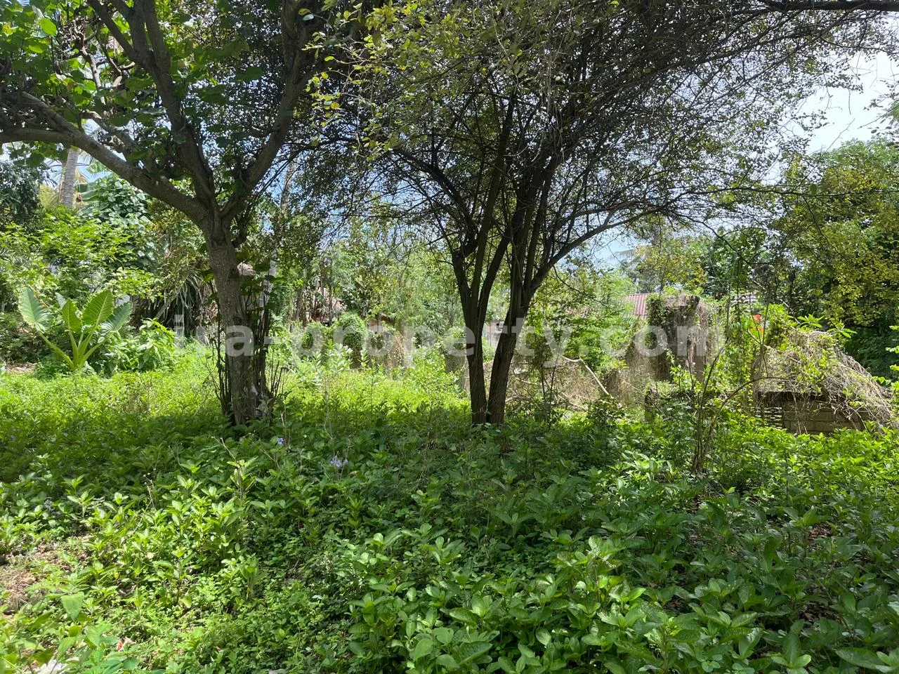 Affordable Land Plot for Sale in Central Kuta Mandalika - 524-2 - 4