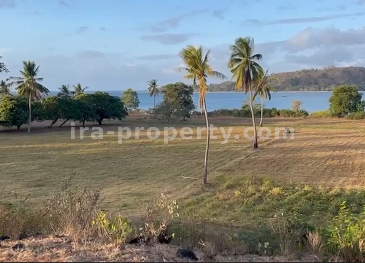 Tanah Tepi Pantai di Sekotong, Lombok Barat - 200 - 3