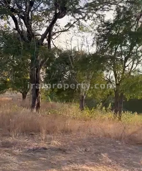 Tanah Tepi Pantai di Sekotong, Lombok Barat - 200 - 4