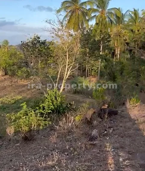 Tanah Tepi Pantai di Sekotong, Lombok Barat - 200 - 6