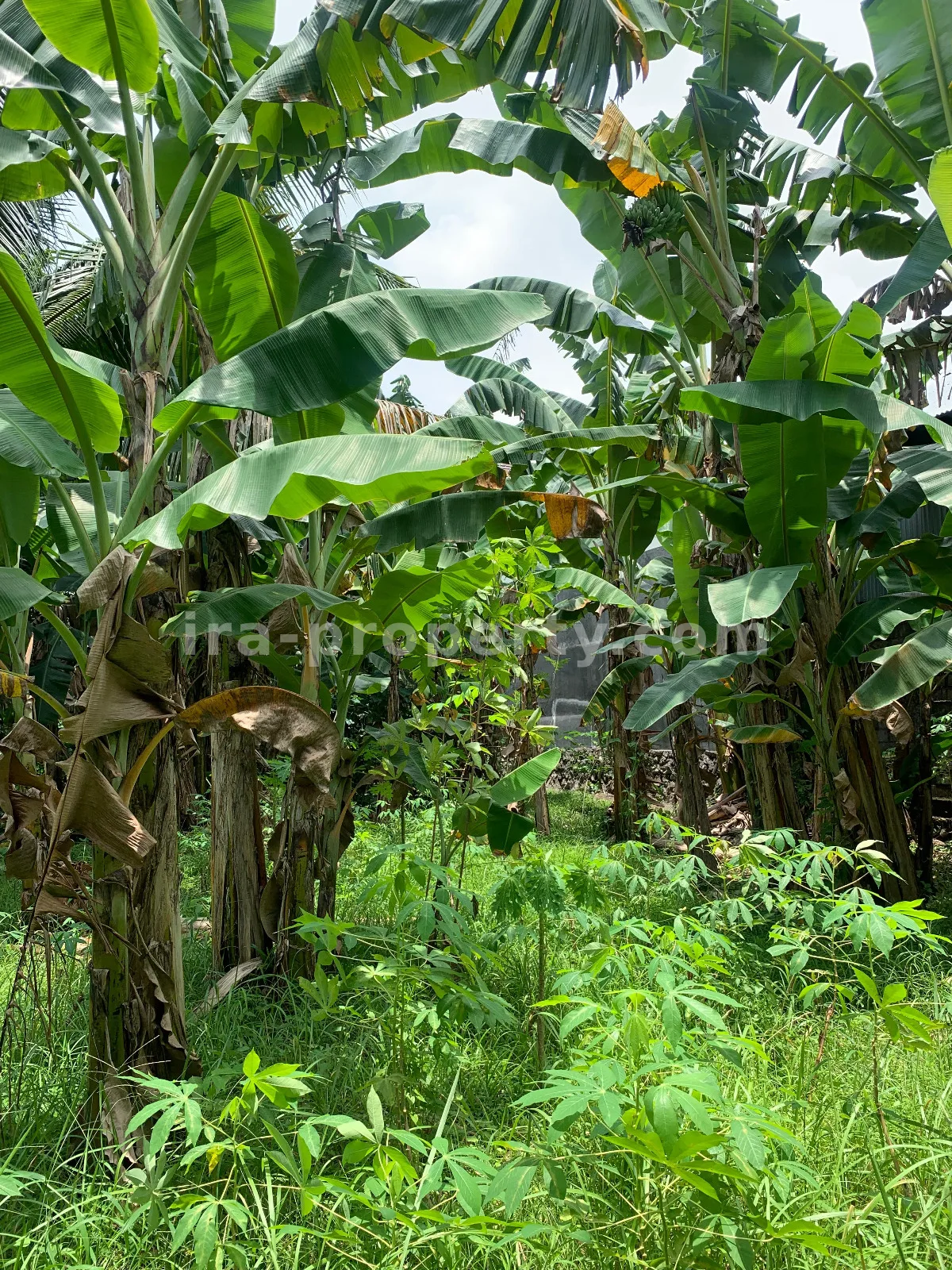 Tanah Strategis Pinggir Jalan di Rembiga, Mataram - 509 - 12