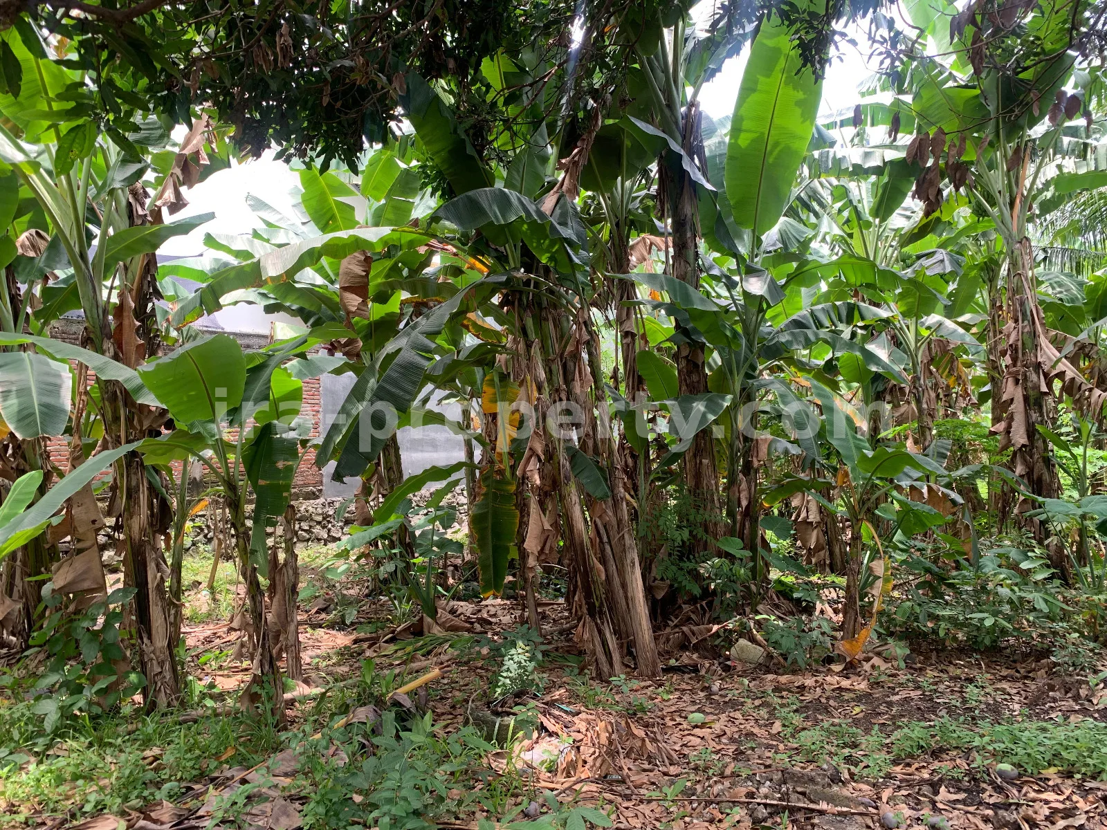 Tanah Strategis Pinggir Jalan di Rembiga, Mataram - 509 - 2
